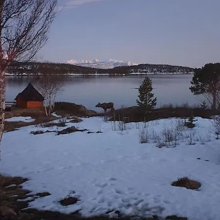 펜션 Off-the-grid On The Island Of Senja In Northern Norway