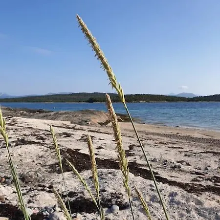 Off-the-grid On The Island Of Senja In Northern Norway