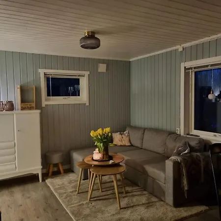 Off-the-grid On The Island Of Senja In Northern Norway Brygghaugen
