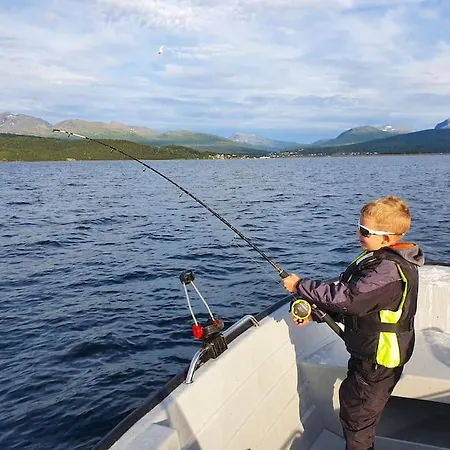 Off-the-grid On The Island Of Senja In Northern Norway Holiday home