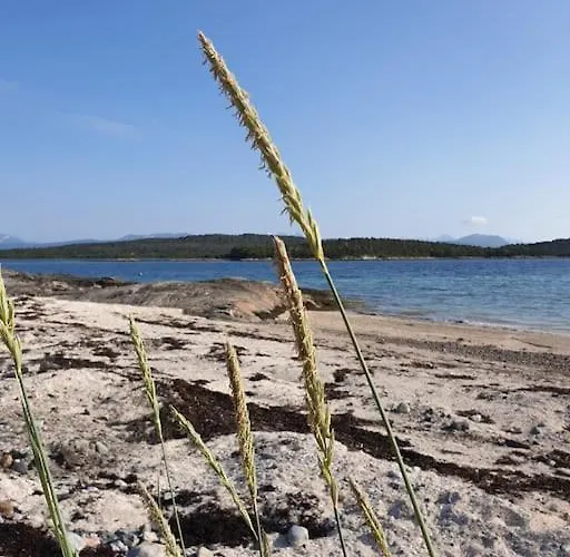Off-the-grid On The Island Of Senja In Northern Norway