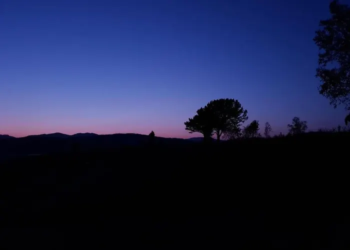 Tatil Evi Off-the-grid On The Island Of Senja In Northern Norway