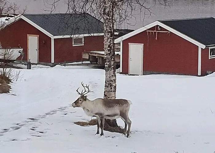 Tatil Evi Off-the-grid On The Island Of Senja In Northern Norway *