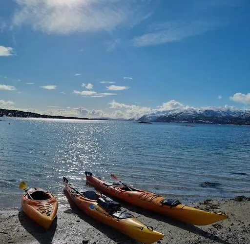 Ferienhaus Off-the-grid On The Island Of Senja In Northern Norway *