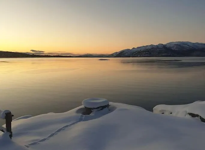 Off-the-grid On The Island Of Senja In Northern Norway *